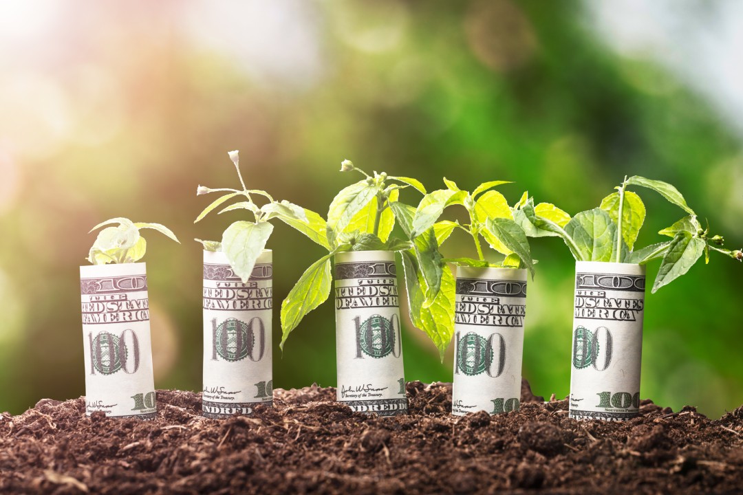 How ESG Investing Creates a Sustainability