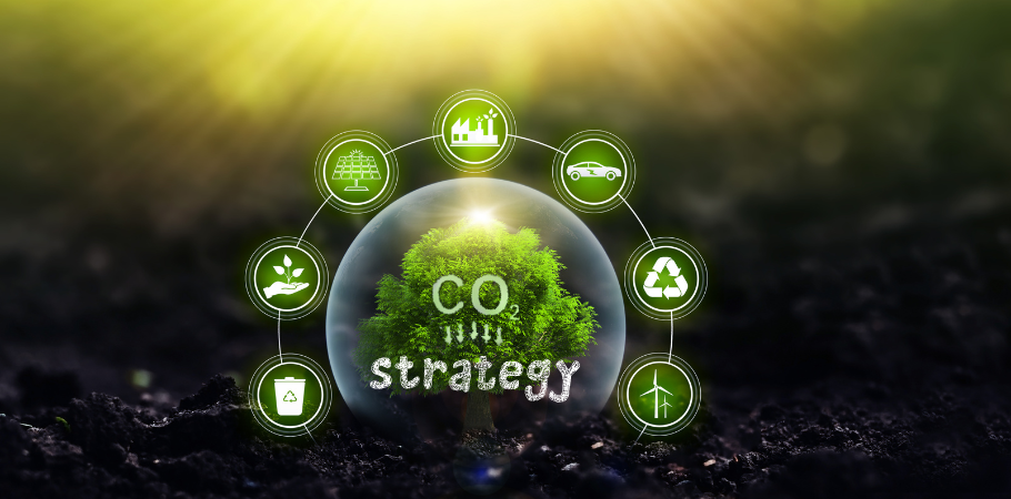 Effective and Simple Decarbonization Strategies for Business