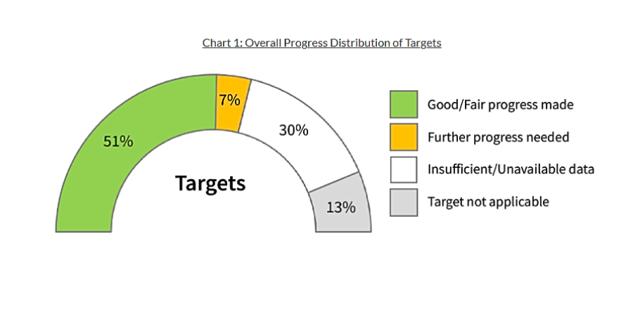 Overall Progress Distribution of Targets