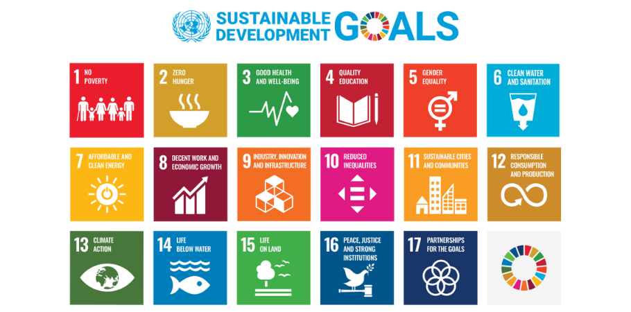 The 17 SDGs