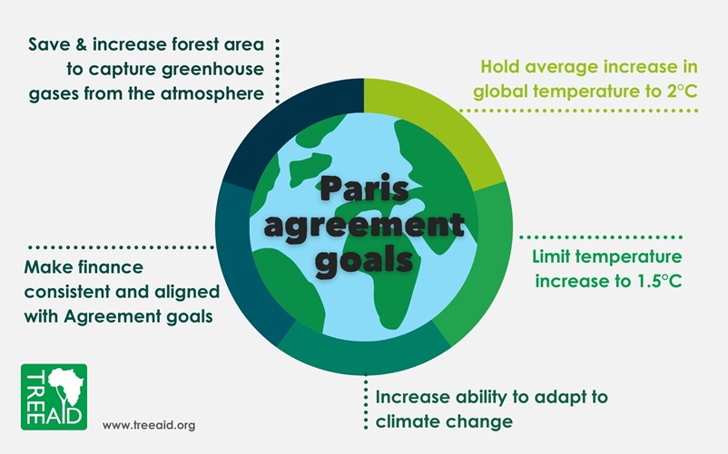 Integration Strategies For Decarbonization