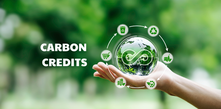 Carbon Credits in Singapore: What You Need to Know