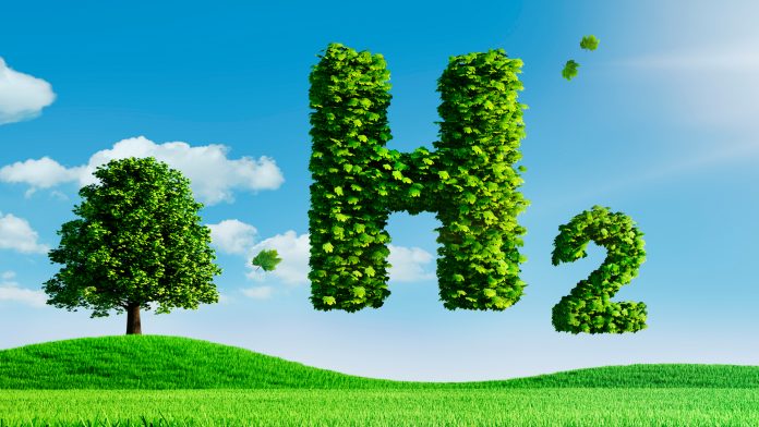 Why Green Hydrogen is the Future of the Global Energy Transition?