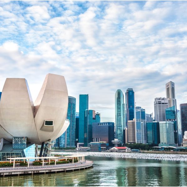 Singapore’s Carbon Regulations For Businesses: Complete List 2024