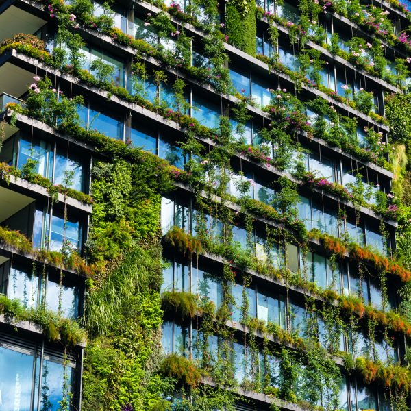 10 Strategies To Decarbonize Architecture