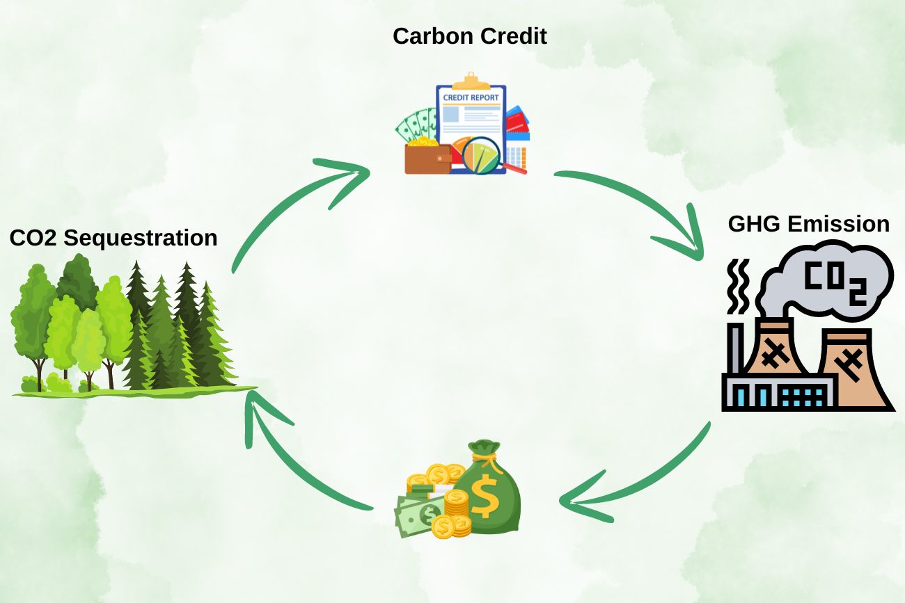 carbon credit trading