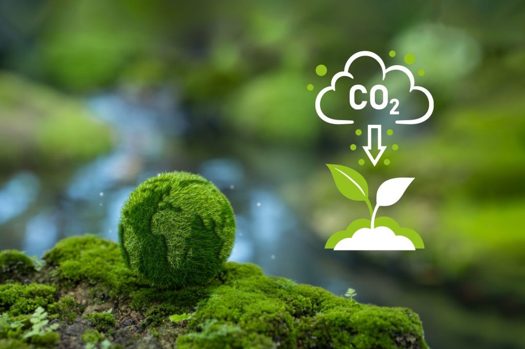 What is Carbon Offset? How It Works and Its Benefits