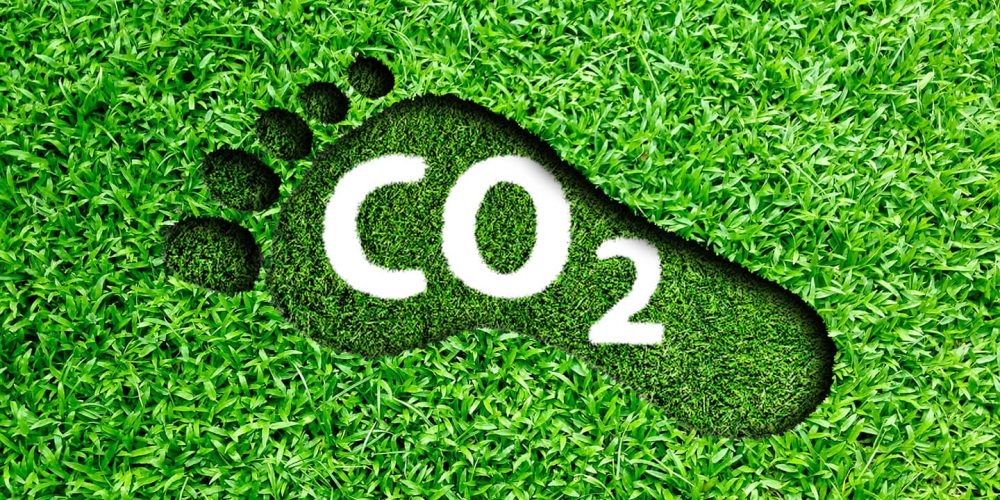 How To Reduce The Carbon Footprint Of Your Bussiness -10 Tips